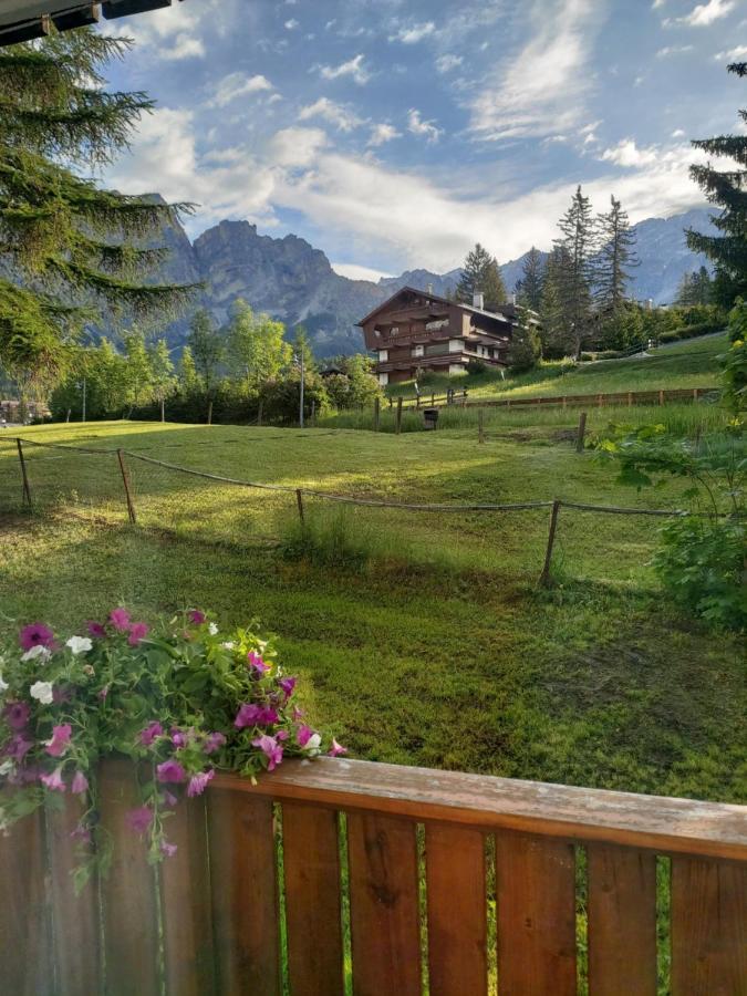 Appartamento Cortina 1956 Cortina dʼAmpezzo Exterior foto